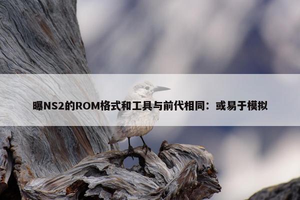 曝NS2的ROM格式和工具与前代相同：或易于模拟