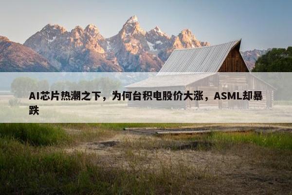 AI芯片热潮之下，为何台积电股价大涨，ASML却暴跌