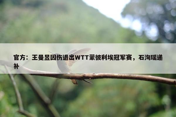 官方：王曼昱因伤退出WTT蒙彼利埃冠军赛，石洵瑶递补