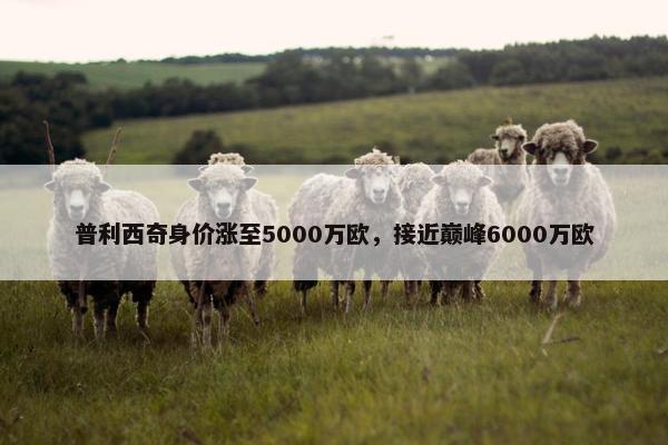 普利西奇身价涨至5000万欧，接近巅峰6000万欧