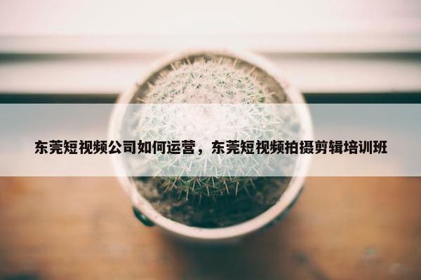 东莞短视频公司如何运营，东莞短视频拍摄剪辑培训班