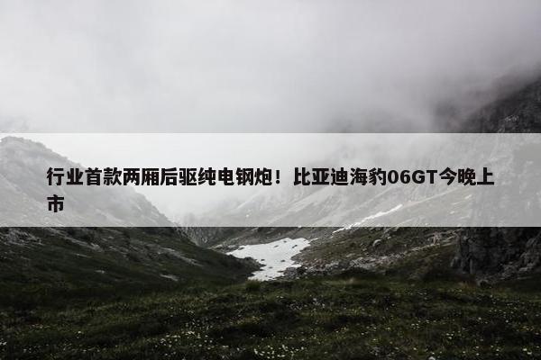 行业首款两厢后驱纯电钢炮！比亚迪海豹06GT今晚上市