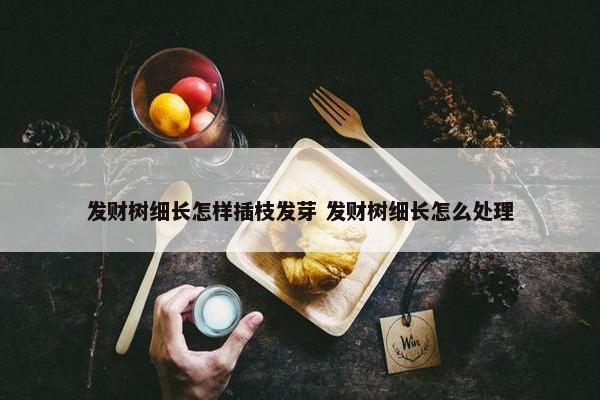 发财树细长怎样插枝发芽 发财树细长怎么处理