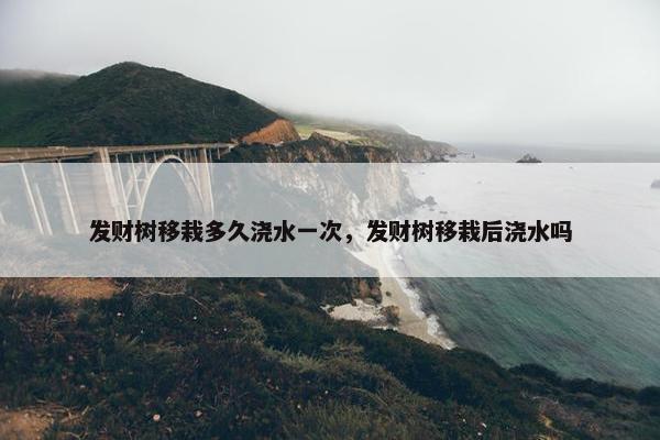 发财树移栽多久浇水一次，发财树移栽后浇水吗