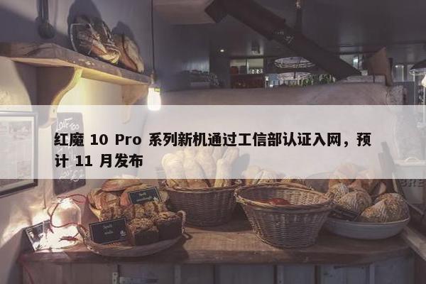 红魔 10 Pro 系列新机通过工信部认证入网，预计 11 月发布