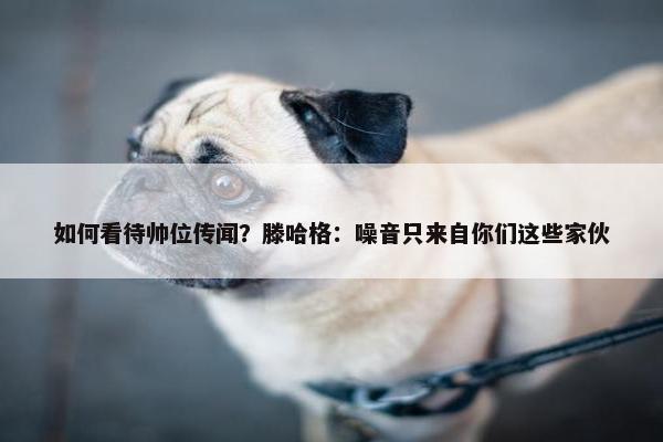 如何看待帅位传闻？滕哈格：噪音只来自你们这些家伙