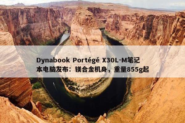 Dynabook Portégé X30L-M笔记本电脑发布：镁合金机身，重量855g起