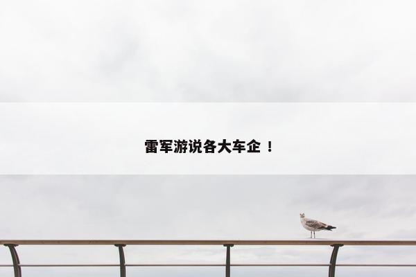 雷军游说各大车企 ！