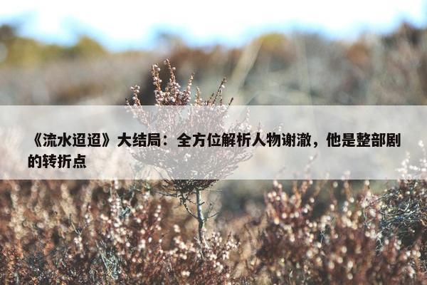 《流水迢迢》大结局：全方位解析人物谢澈，他是整部剧的转折点