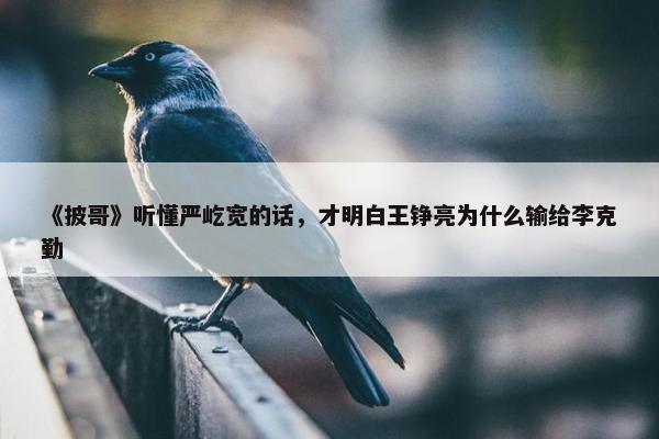 《披哥》听懂严屹宽的话，才明白王铮亮为什么输给李克勤