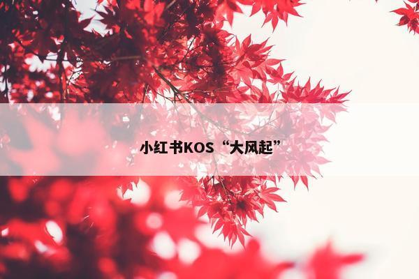 小红书KOS“大风起”