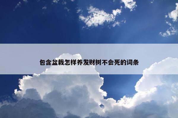 包含盆栽怎样养发财树不会死的词条