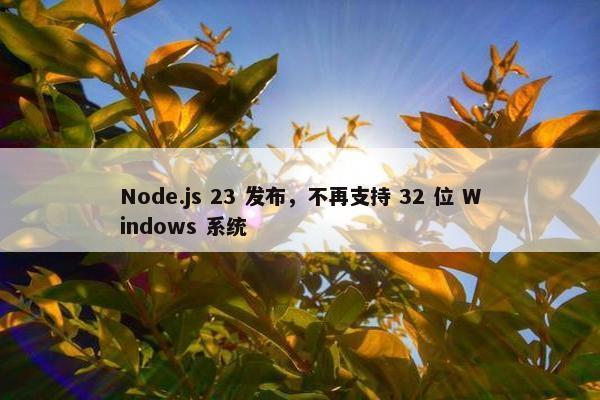 Node.js 23 发布，不再支持 32 位 Windows 系统