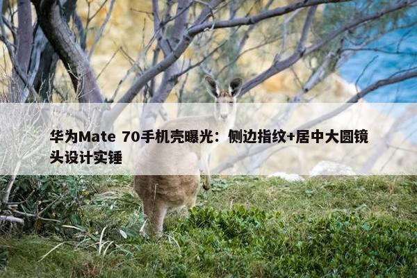 华为Mate 70手机壳曝光：侧边指纹+居中大圆镜头设计实锤