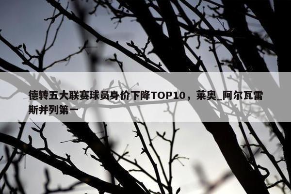 德转五大联赛球员身价下降TOP10，莱奥_阿尔瓦雷斯并列第一