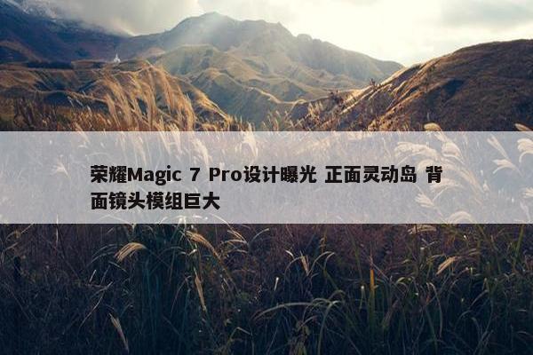 荣耀Magic 7 Pro设计曝光 正面灵动岛 背面镜头模组巨大