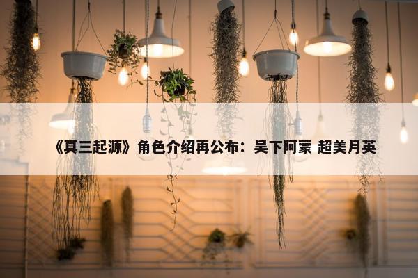 《真三起源》角色介绍再公布：吴下阿蒙 超美月英