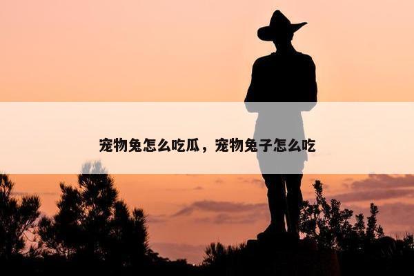 宠物兔怎么吃瓜，宠物兔子怎么吃