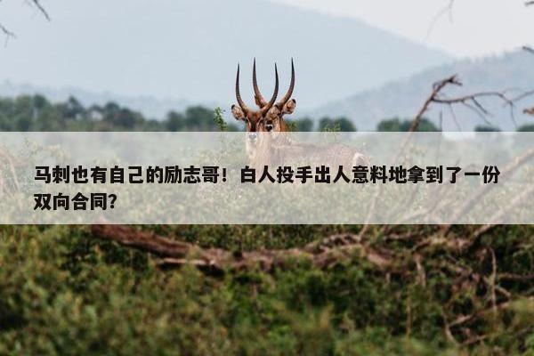 马刺也有自己的励志哥！白人投手出人意料地拿到了一份双向合同？