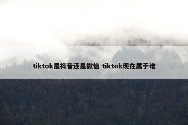 tiktok是抖音还是微信 tiktok现在属于谁