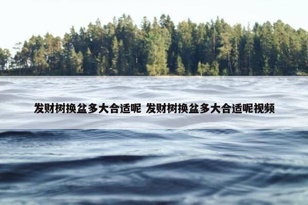 发财树换盆多大合适呢 发财树换盆多大合适呢视频