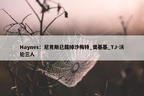 Haynes：尼克斯已裁掉沙梅特_奥基基_TJ-沃伦三人