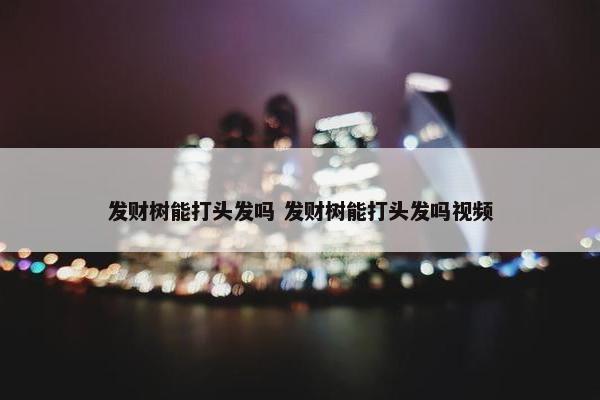 发财树能打头发吗 发财树能打头发吗视频