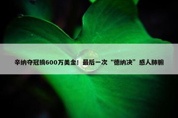 辛纳夺冠摘600万美金！最后一次“德纳决”感人肺腑