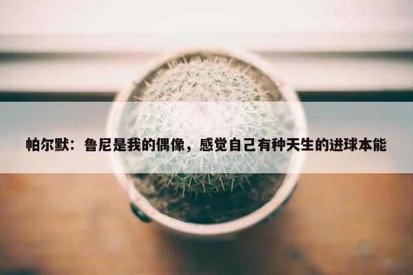 帕尔默：鲁尼是我的偶像，感觉自己有种天生的进球本能