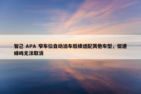 智己 APA 窄车位自动泊车后续适配其他车型，低速蜂鸣无法取消