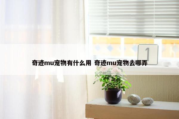 奇迹mu宠物有什么用 奇迹mu宠物去哪弄