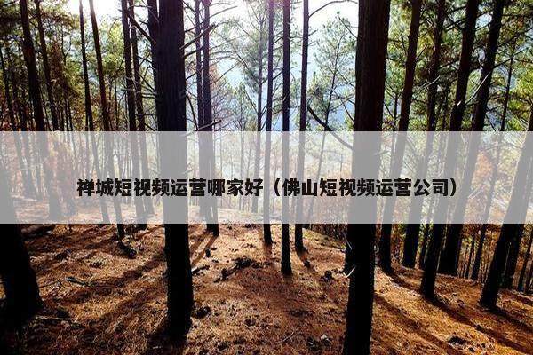 禅城短视频运营哪家好（佛山短视频运营公司）