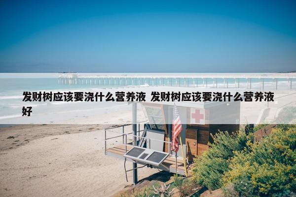 发财树应该要浇什么营养液 发财树应该要浇什么营养液好