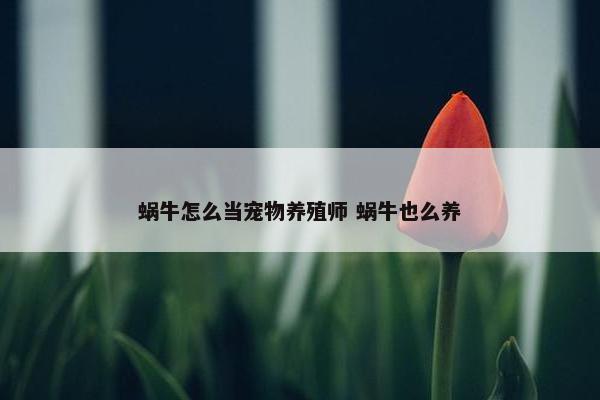 蜗牛怎么当宠物养殖师 蜗牛也么养