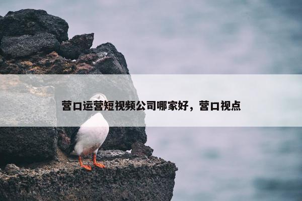 营口运营短视频公司哪家好，营口视点