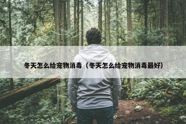 冬天怎么给宠物消毒（冬天怎么给宠物消毒最好）