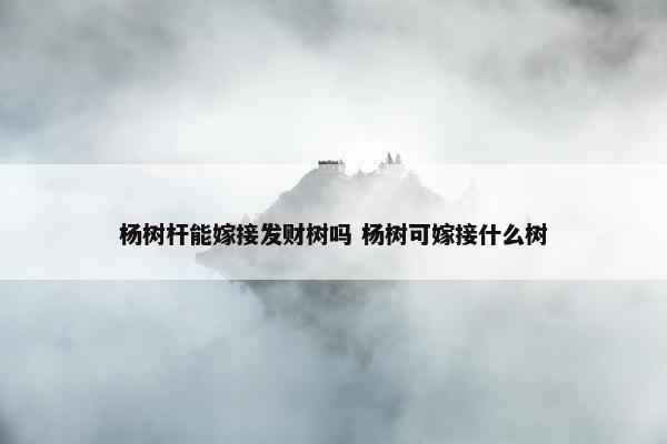 杨树杆能嫁接发财树吗 杨树可嫁接什么树