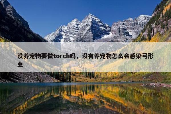 没养宠物要做torch吗，没有养宠物怎么会感染弓形虫