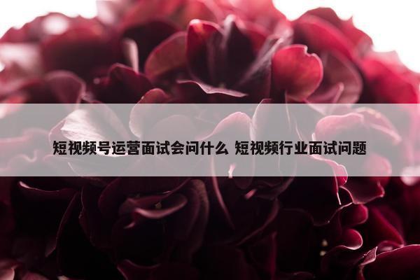 短视频号运营面试会问什么 短视频行业面试问题