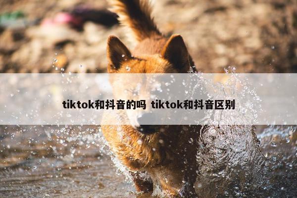 tiktok和抖音的吗 tiktok和抖音区别