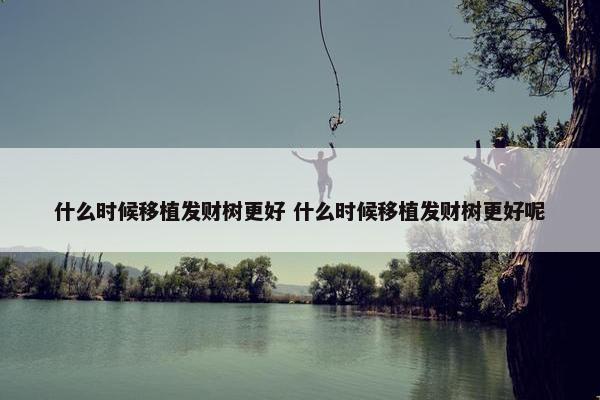 什么时候移植发财树更好 什么时候移植发财树更好呢