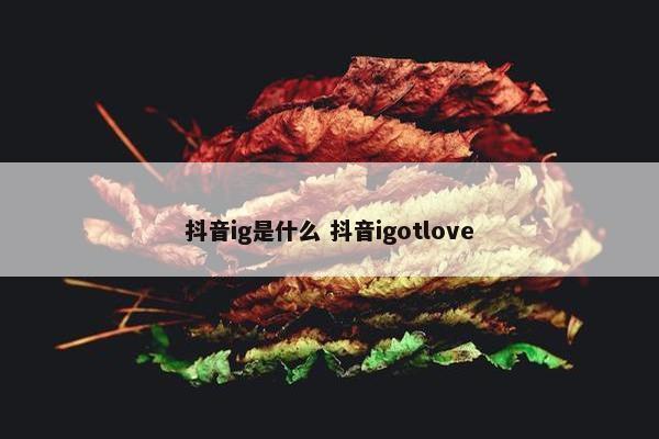 抖音ig是什么 抖音igotlove