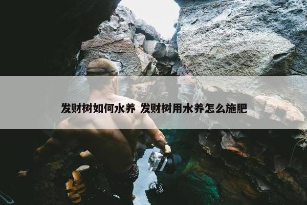 发财树如何水养 发财树用水养怎么施肥