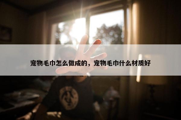 宠物毛巾怎么做成的，宠物毛巾什么材质好