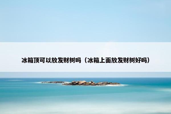 冰箱顶可以放发财树吗（冰箱上面放发财树好吗）