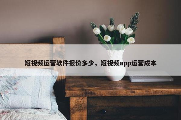 短视频运营软件报价多少，短视频app运营成本