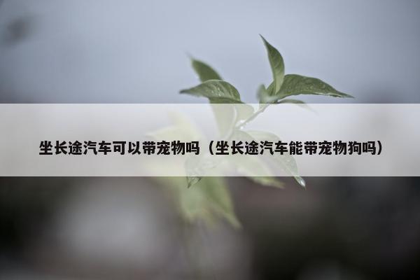 坐长途汽车可以带宠物吗（坐长途汽车能带宠物狗吗）