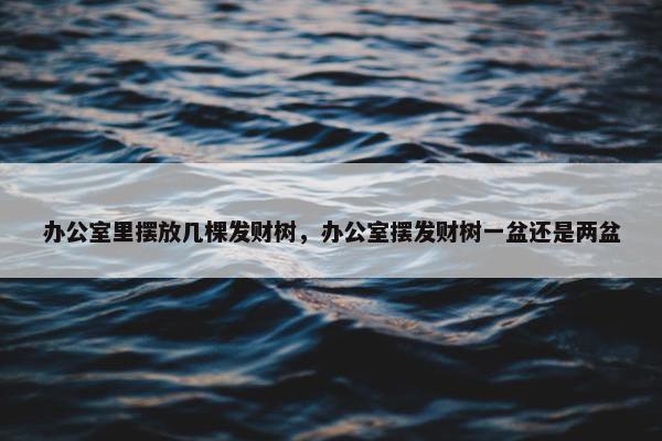 办公室里摆放几棵发财树，办公室摆发财树一盆还是两盆