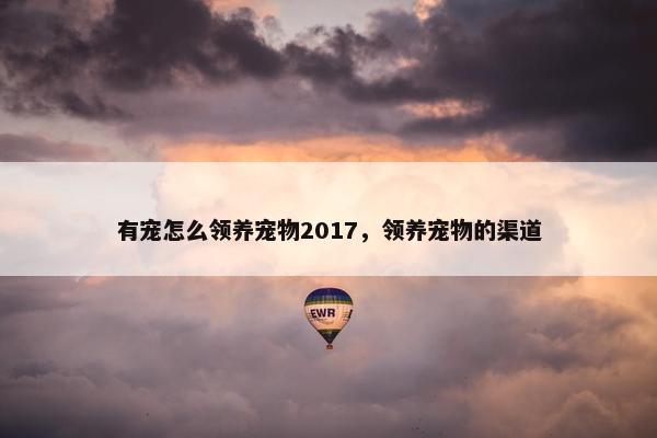 有宠怎么领养宠物2017，领养宠物的渠道