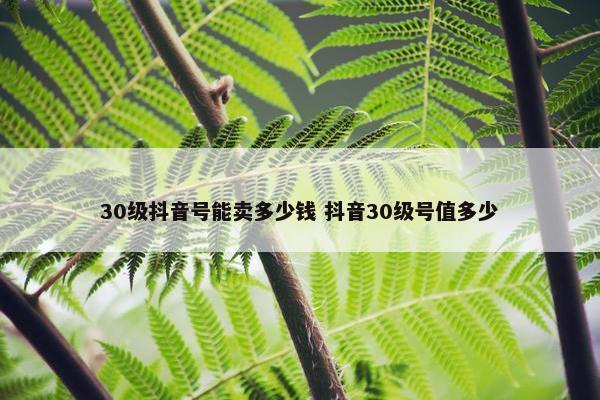 30级抖音号能卖多少钱 抖音30级号值多少